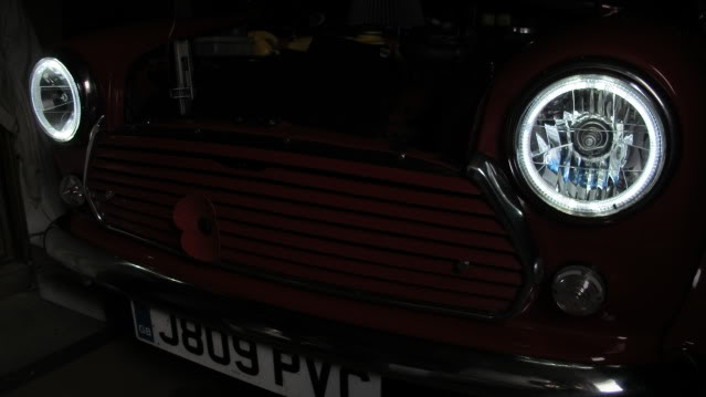 mini angel eye headlights